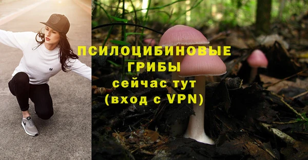 метамфетамин Богданович